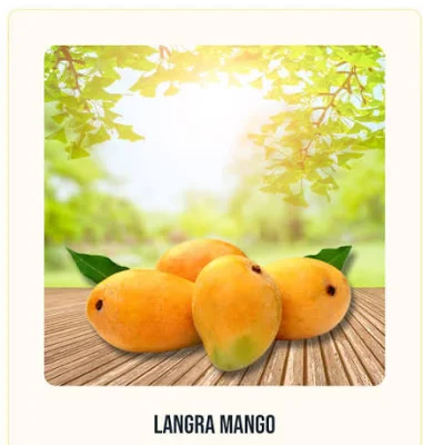Fresh Mango Price in Pakistan logo