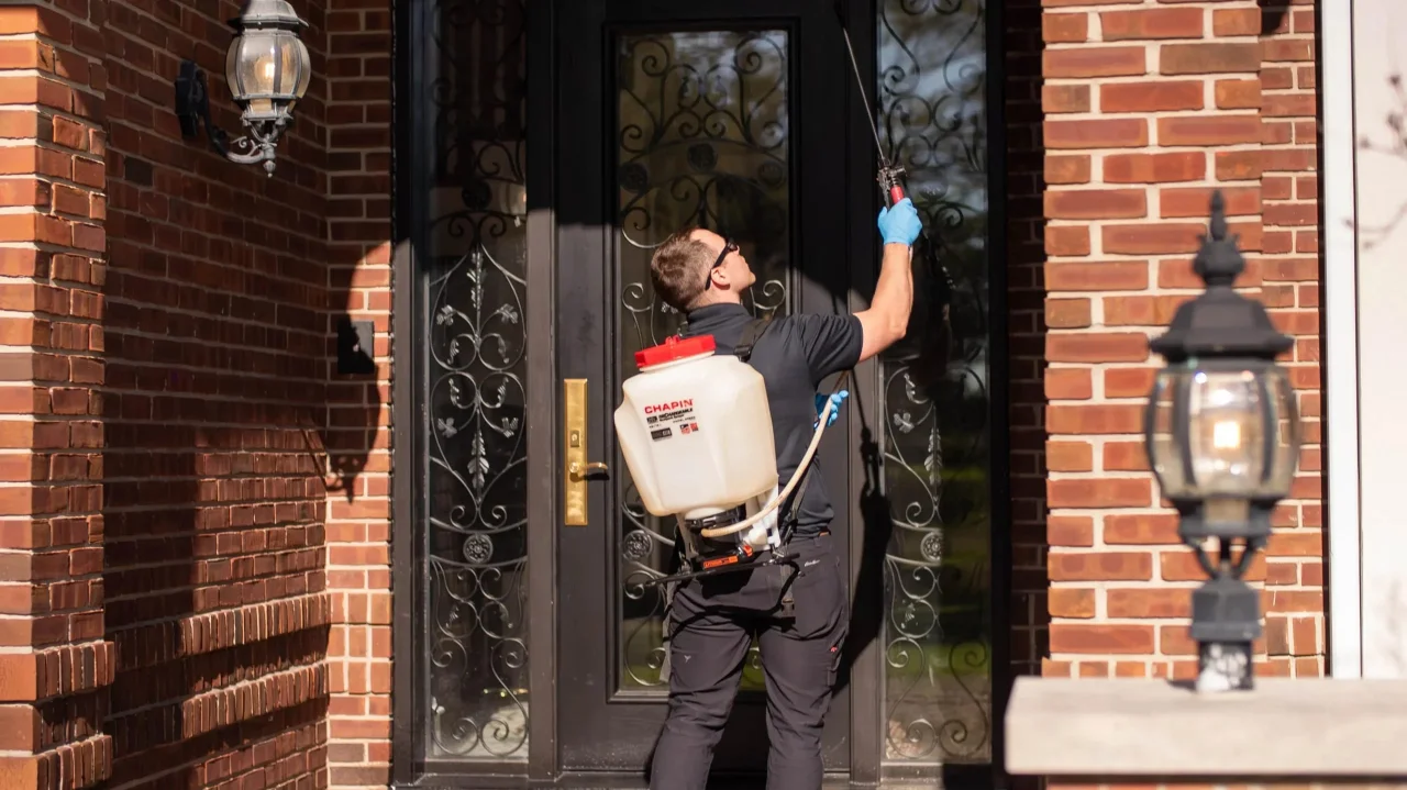 DFW Pest Guard photo 2