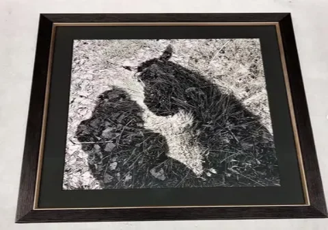 Custom Framing Malibu photo 5