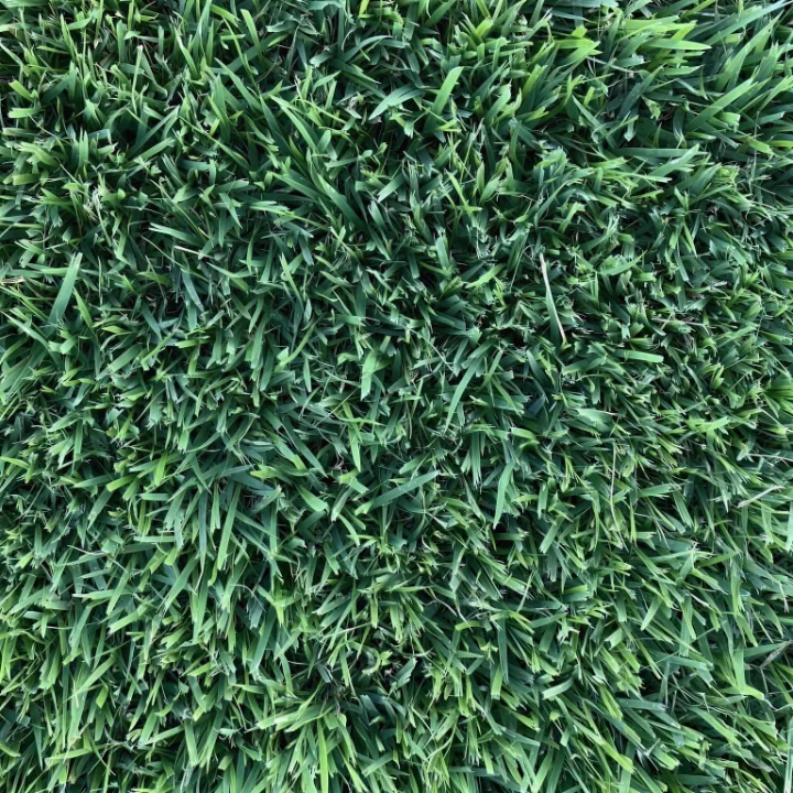 Texas Sod Pros