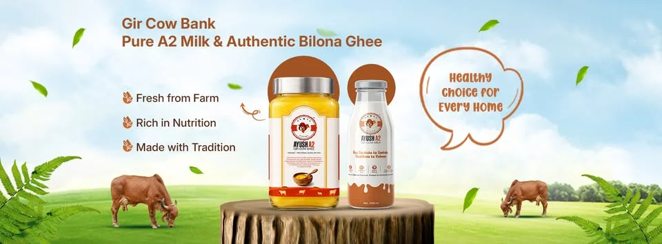 Gir Cow Bank