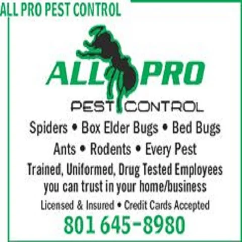 All PRO Pest Control photo 3