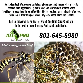 All PRO Pest Control photo 2