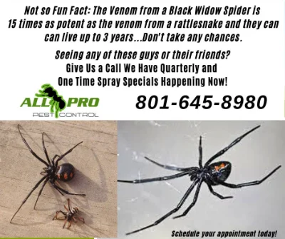 All PRO Pest Control logo