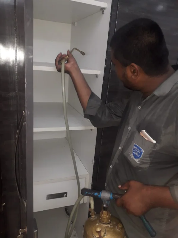 Pest Cure Incorporation - Best Pest Control Services Company in Delhi NCR photo 2