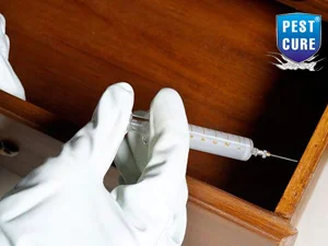 Pest Cure Incorporation - Best Pest Control Services Company in Delhi NCR photo 3