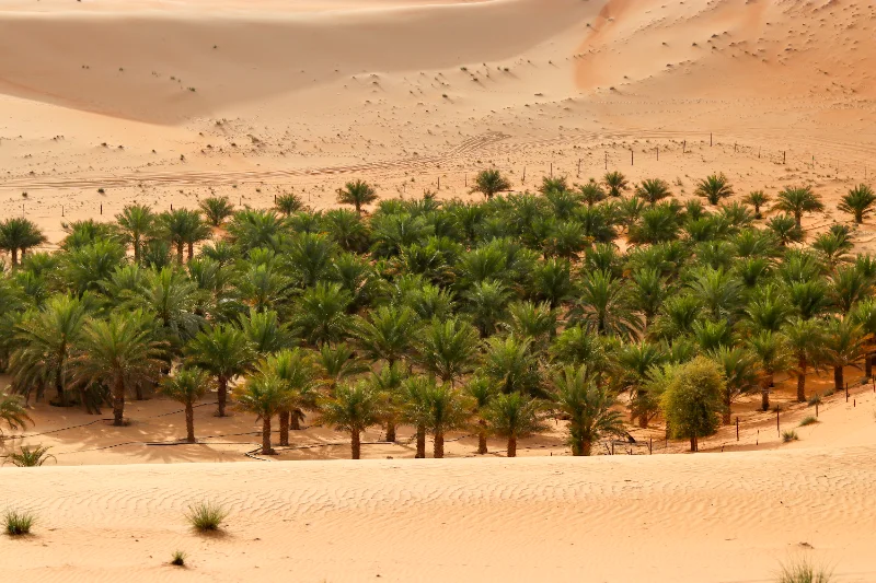 Liwa Desert Safari Camping – Extreme Tourism photo 2