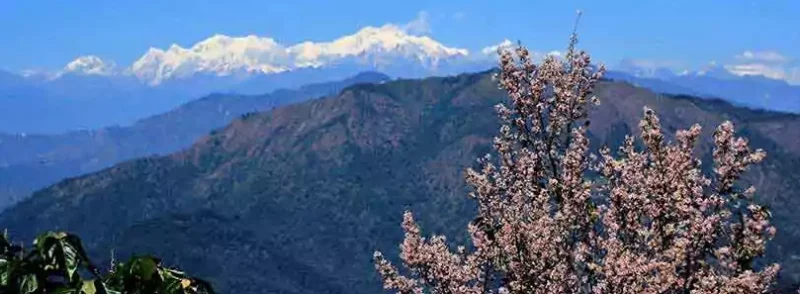 Best Time to Book North Bengal Tour Packages for a Memorable Holiday photo 1