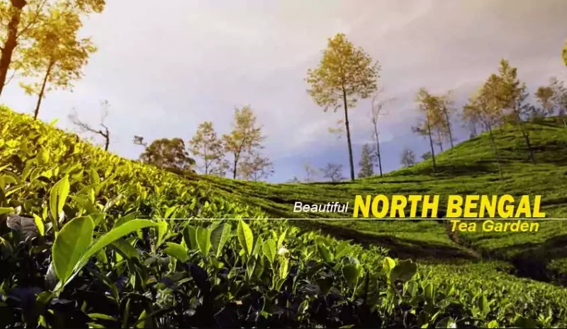 Best Time to Book North Bengal Tour Packages for a Memorable Holiday photo 2