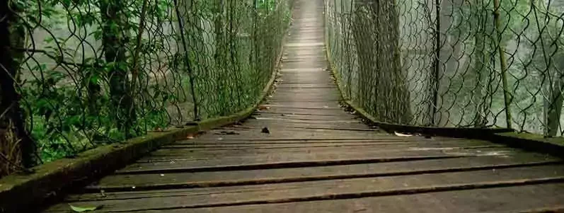 Best Time to Book North Bengal Tour Packages for a Memorable Holiday photo 3