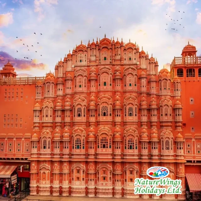 Rajasthan Package Tour with Customized Travel Itineraries photo 1