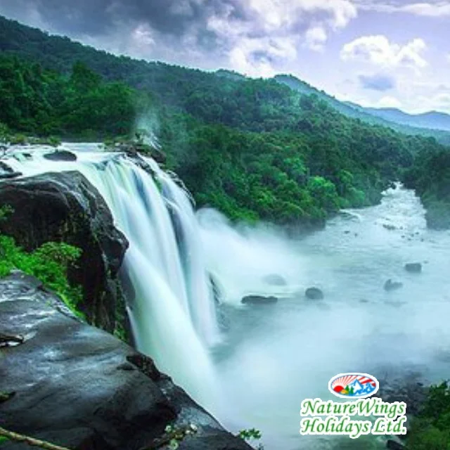 Kerala Package Tour for a Relaxing Beach Holiday photo 2
