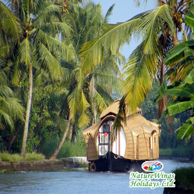 Kerala Package Tour for a Relaxing Beach Holiday photo 3