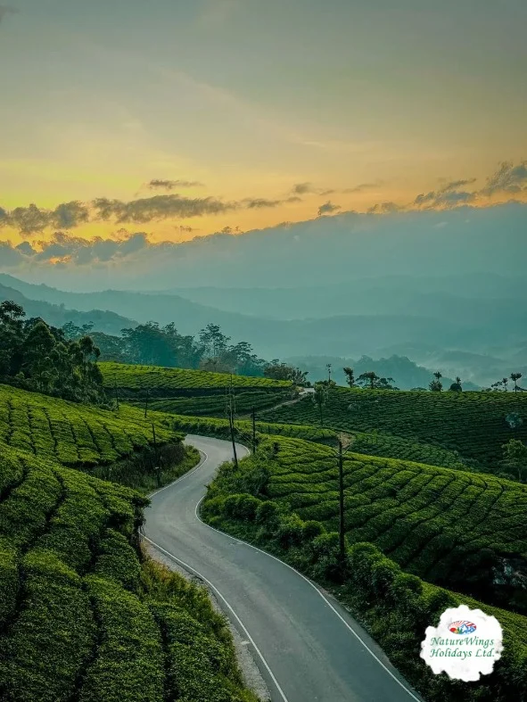 Kerala Package Tour for a Relaxing Beach Holiday photo 4