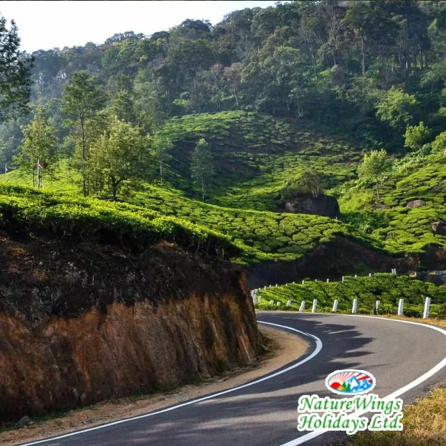 Kerala Package Tour for a Relaxing Beach Holiday photo 5